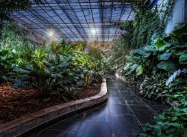 Tropical Garden Slovenia