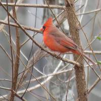 Edwin M. Griffin Nature Preserve