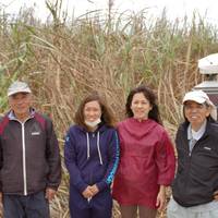 Gakiya Sugarcane Plantation