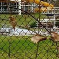 Pirmasenser Luft- und Badepark - PLUB