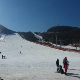 Jisan Forest Ski Resort