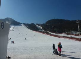 Jisan Forest Ski Resort