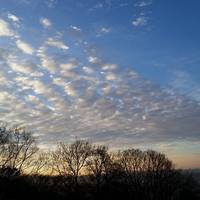 Croham Hurst Woods