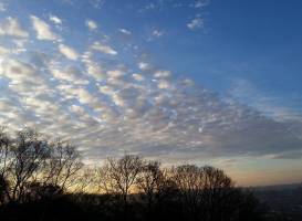 Croham Hurst Woods