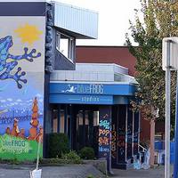 Blue Frog Studios