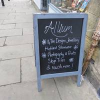 Allium