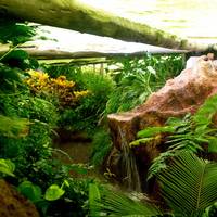 Parque Bioms