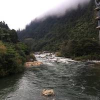 Karangahake Windows Walk