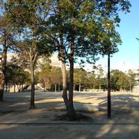 Chuo Park