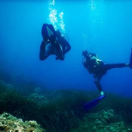 Cap Dive