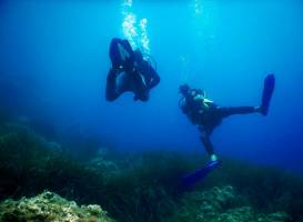 Cap Dive