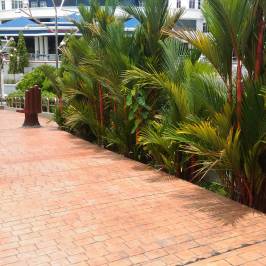 Palm Mall