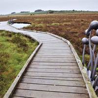 Blawhorn Moss National Nature Reserve
