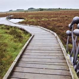 Blawhorn Moss National Nature Reserve
