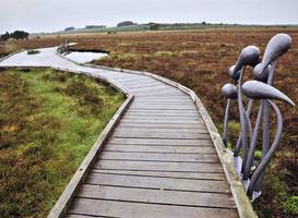 Blawhorn Moss National Nature Reserve