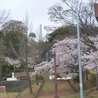 Memorial for Victims of Pacific War Aerial Bombing