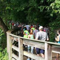 Tar River Trail