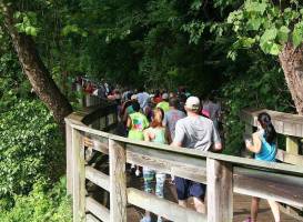 Tar River Trail