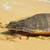 Project Biodiversity Turtle Conservation Hatchery