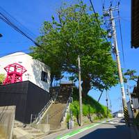 Mt. Hiyori