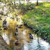 Turtle Rock Community Park