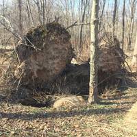 Lenape Park