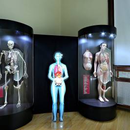 Muzeul judetean de stiintele naturii prahova
