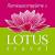 LOTUS-Travel