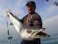 Captain Hook Yachts Boats Rental