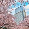 Mandarin Oriental Tokyo