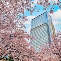 Mandarin Oriental Tokyo