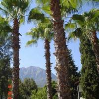 Majesty Club Kemer Beach