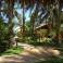 bamboo village 1