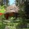bamboo village 5