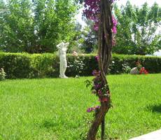 Sunshine Vacation Clubs Corfu
