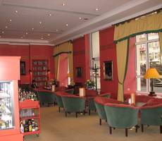 Dvorak Spa Hotel