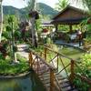 Patong Green Mountain