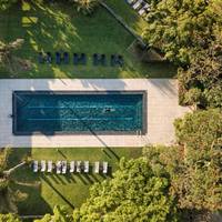 Vineyard