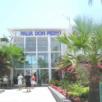Palia Don Pedro