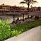 Отель Sunny Day Al Palacio 5
