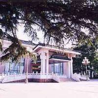 Nan Jiao