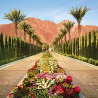 La Quinta Resort & Club-Dlx