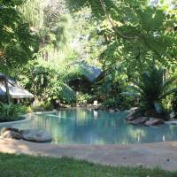 Ferntree Rainforest