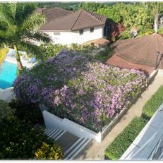 Relax Resort