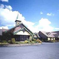 Oak Wood Arms