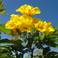 Красотища!