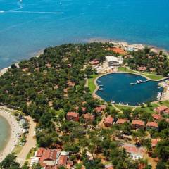 Apartments Sol Amfora for Plava Laguna
