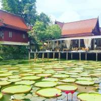 At Panta Phuket