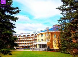 Парк-Отель Воздвиженское