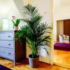Central Stylish Apartments